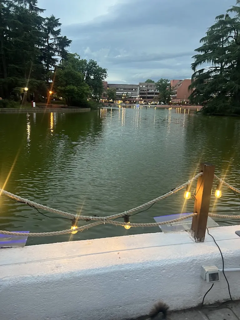 Virginia Leone_Ristorante Acquaseltz_Basiglio_review