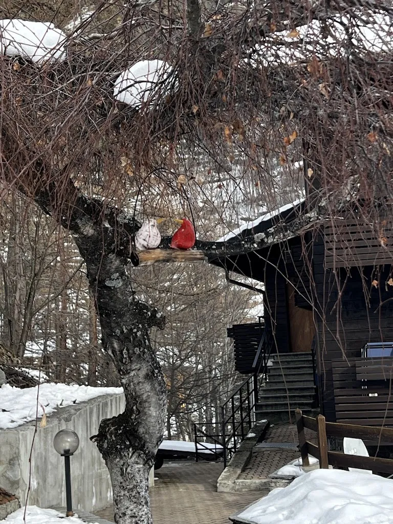 Jim Lyons_Hotel Ristorante Rascard_Valtournenche_review