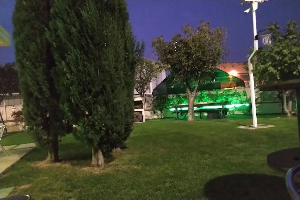 desiree veronese_Bar caffé dell'industria_Berlingo_review