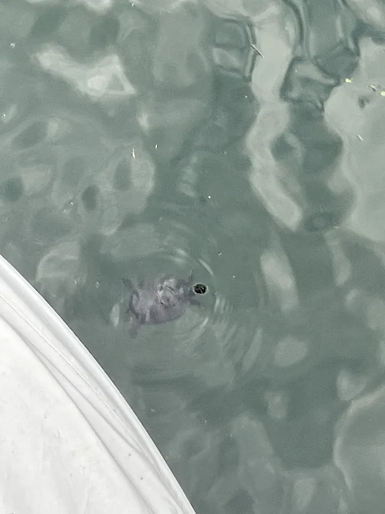 Greta Feldkamp_Blanco Lounge Bar & Restaurant_Bellano_recensione