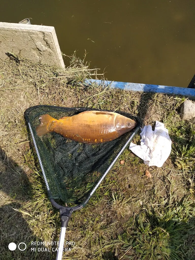 Menu_Bel Sit_Bernate Ticino_image_5