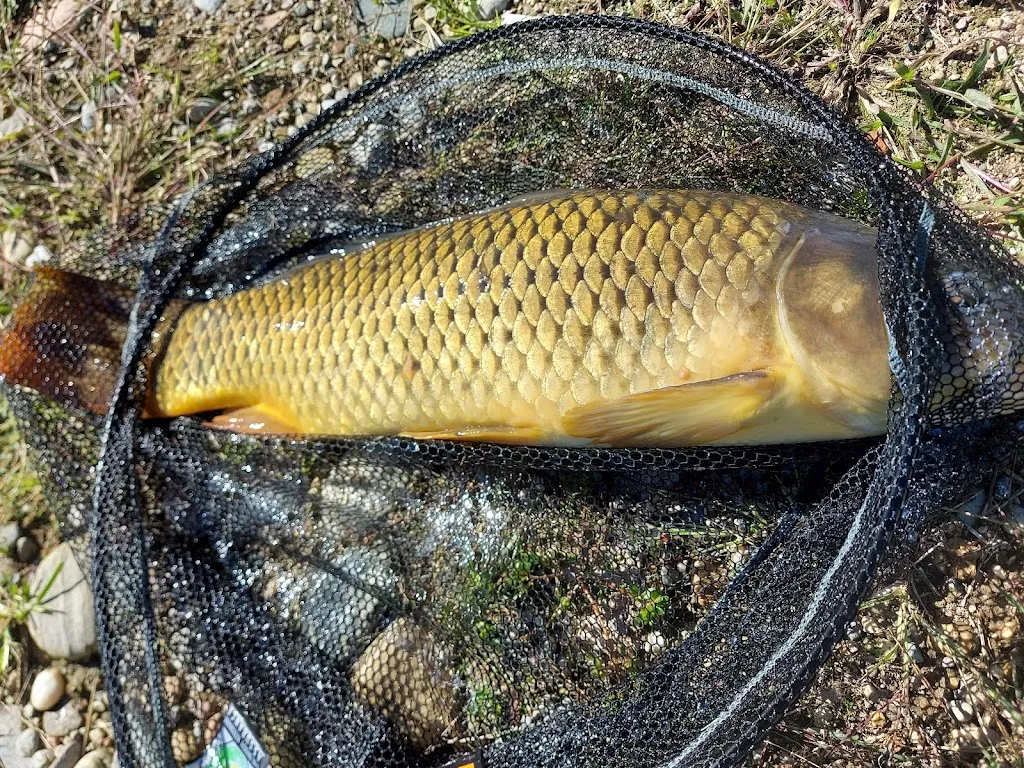 Bel Sit_Bernate Ticino_slider_image_3