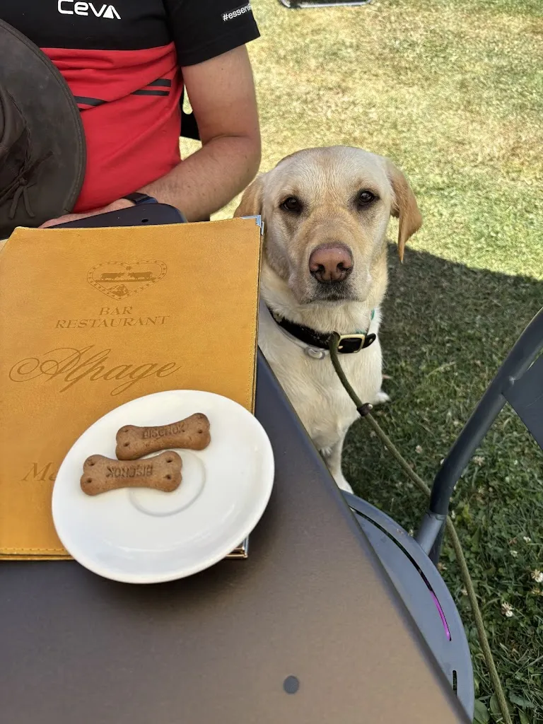 Catharina Beecroft_Restaurant Alpage_Valtournenche_review