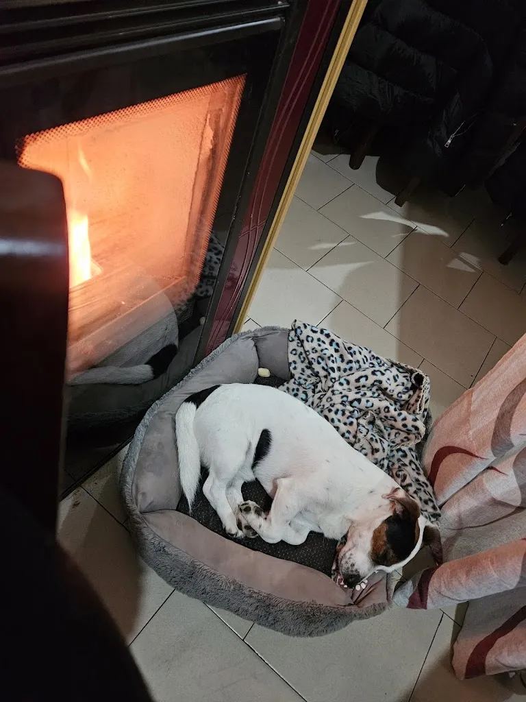 Micheru A_Trattoria della Pina_Berzo_review