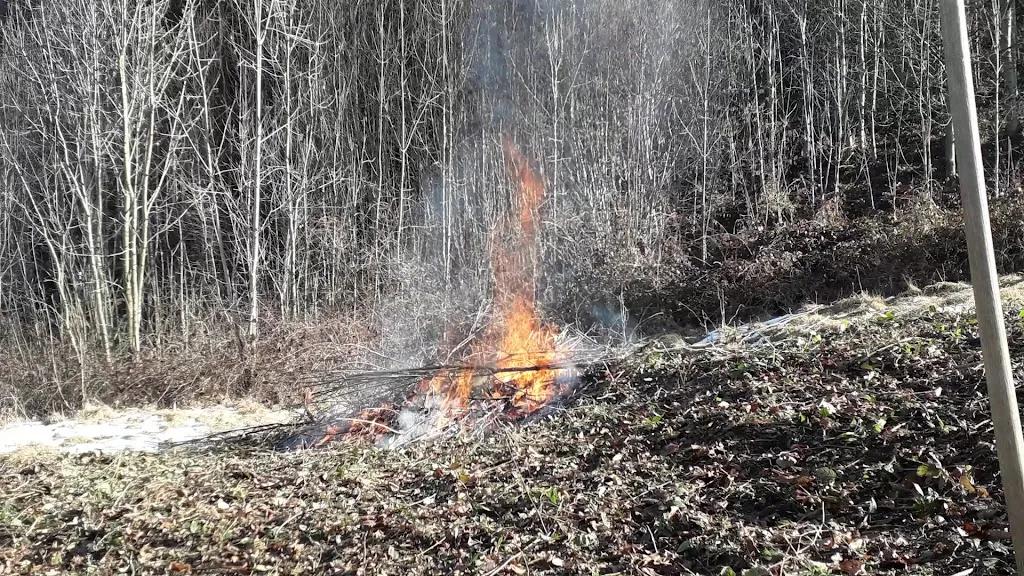 Ristorante Avrami Miranda_Besate_slider_image_2