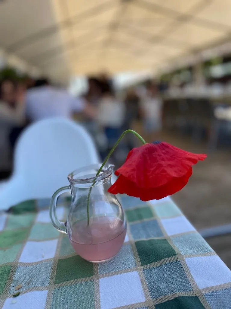 Mira Toska_Agriturismo I Silos_Besate_review