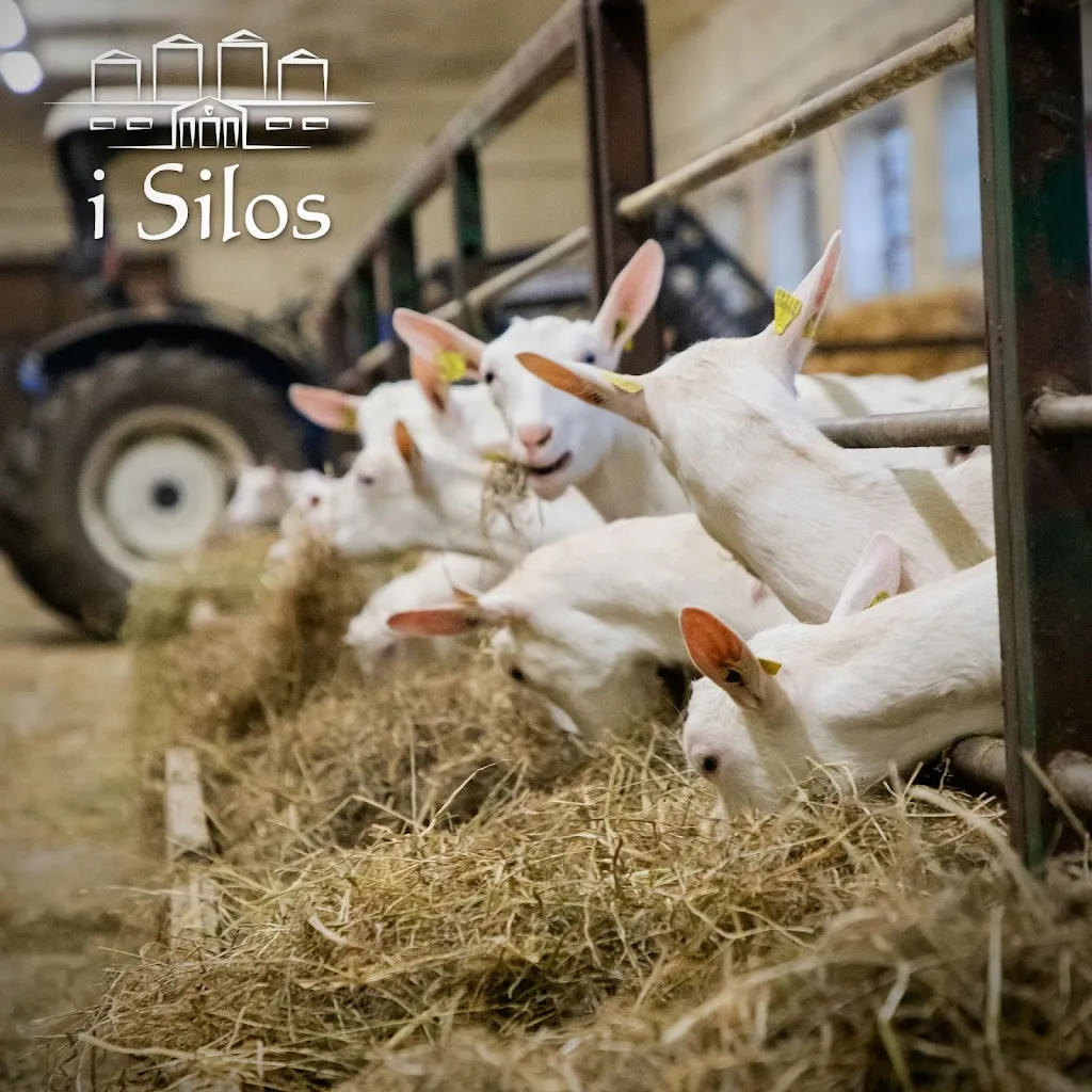 Agriturismo I Silos_Besate_slider_image_3