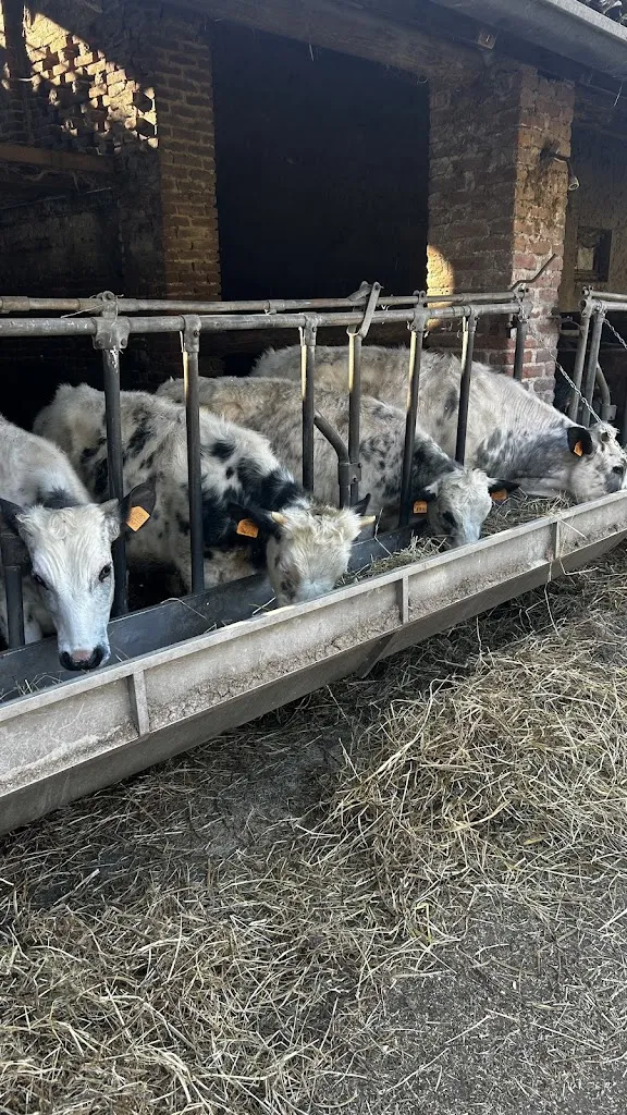 Luc G_Cascina Caremma_Besate_review