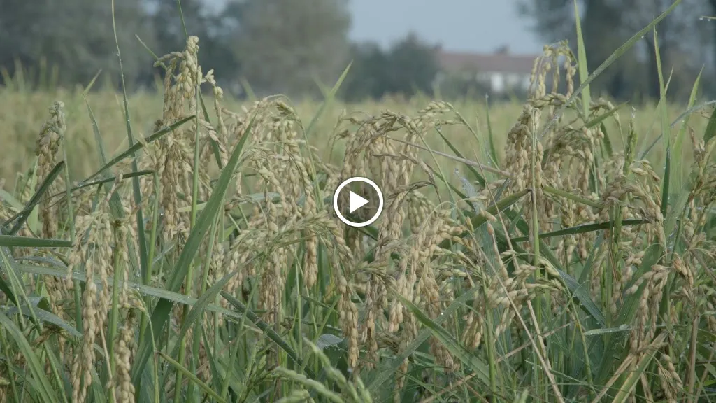 Cascina Caremma_Besate_slider_image_2