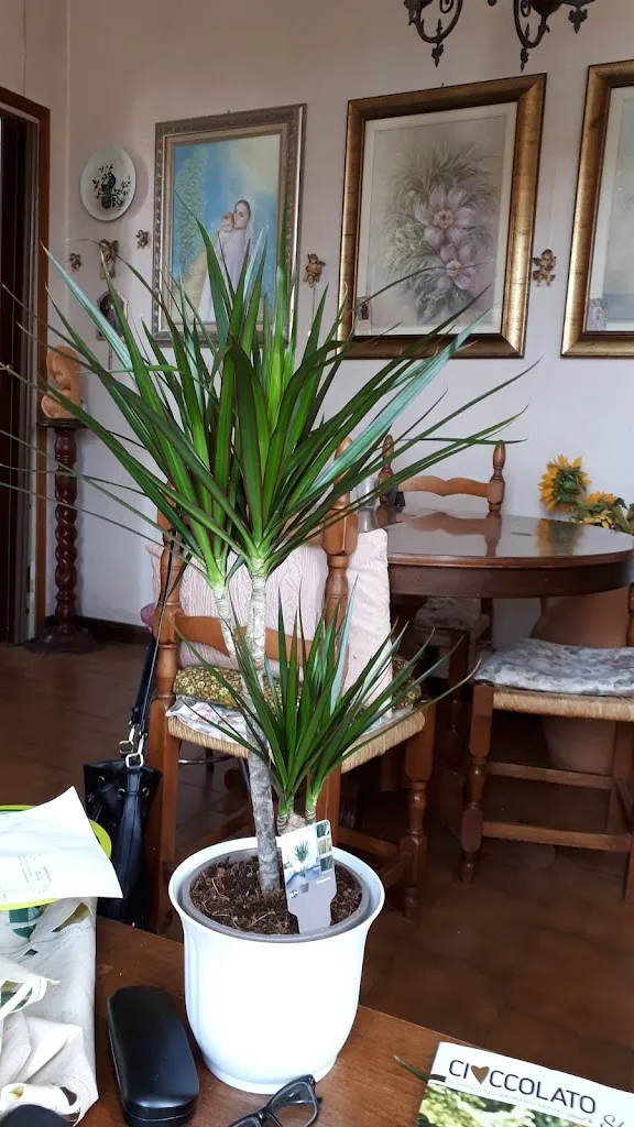 La Maggiolina restaurant in Besnate