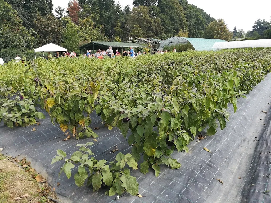 Cascina Bressanella | Agriturismo | Ortofrutta Km0_Besana in Brianza_slider_image_3