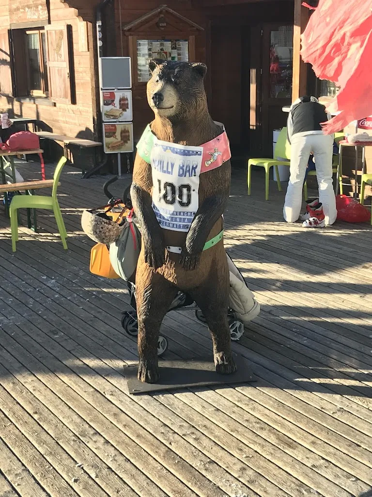 Mihai Posirca_Willy Bar_Valtournenche_review