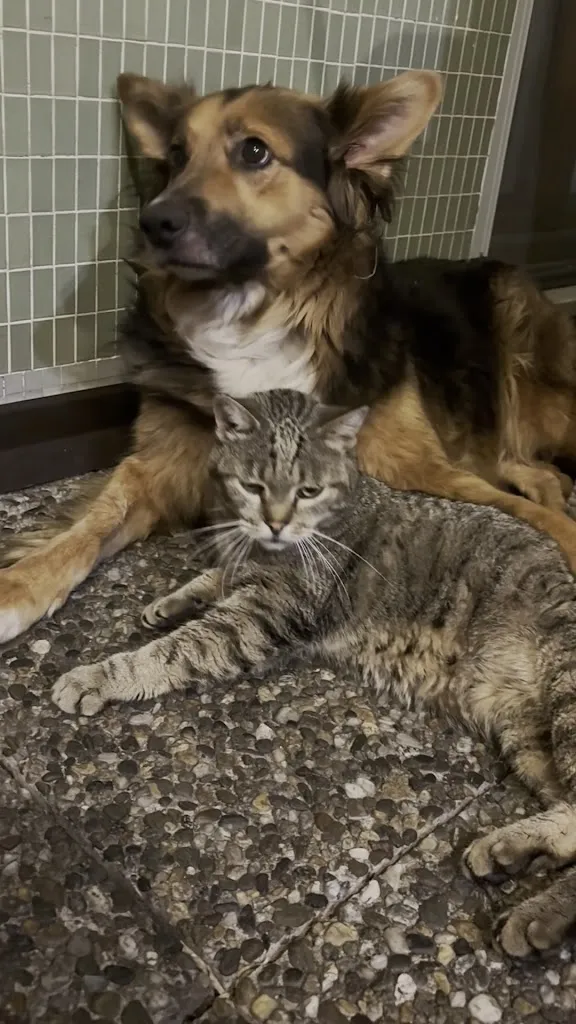 Jordan Kostelac_Altavilla Locanda e tipica Trattoria_Bianzone_review