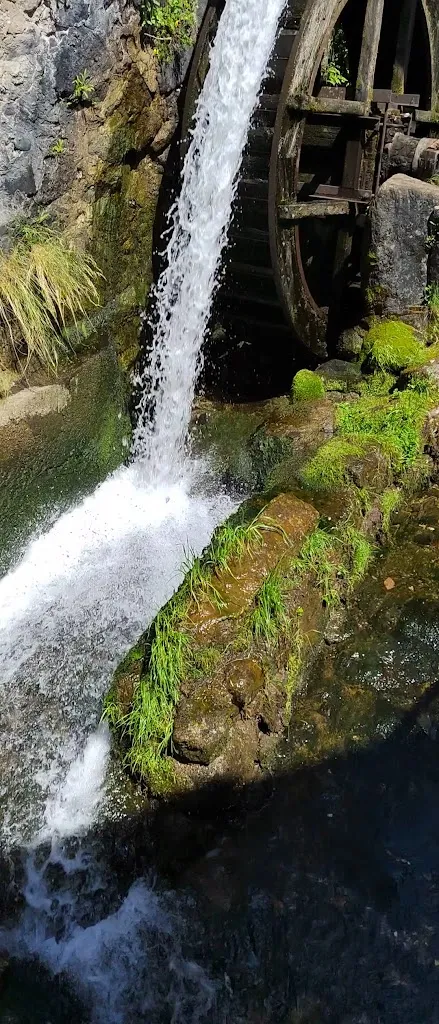 Ristorante Pizzeria Il Vecchio Mulino_Bienno_slider_image_2