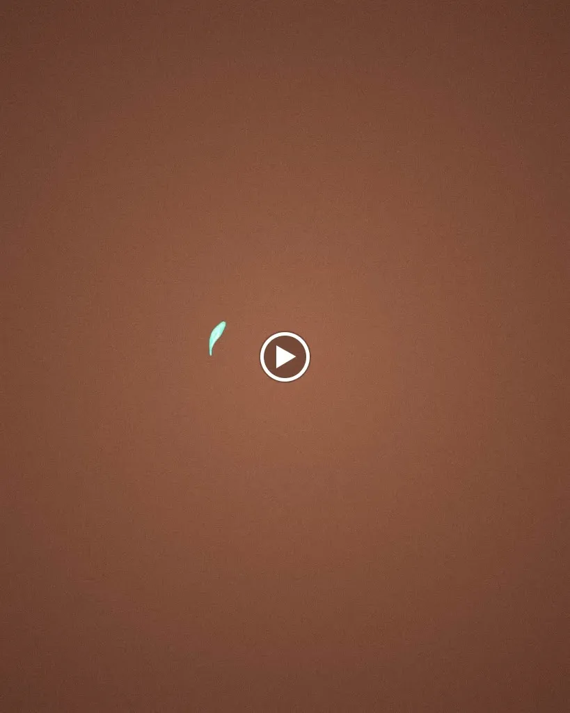 Pororoca street food_Bienno_slider_image_2