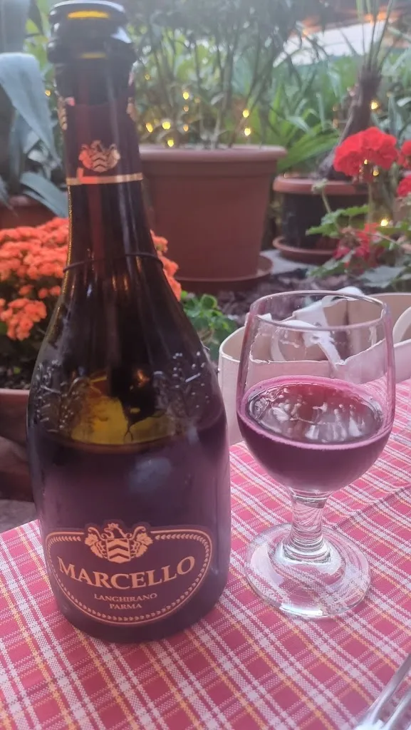 Menu_Hosteria Il Castelletto - Cucina Tipica Emiliana_Bettola-Zeloforomagno_image_8