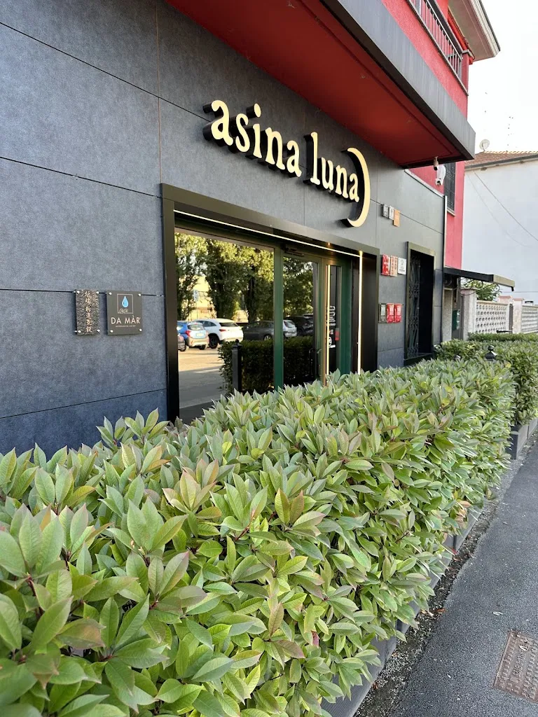 Bobby Shek_Asina Luna_Bettola-Zeloforomagno_review