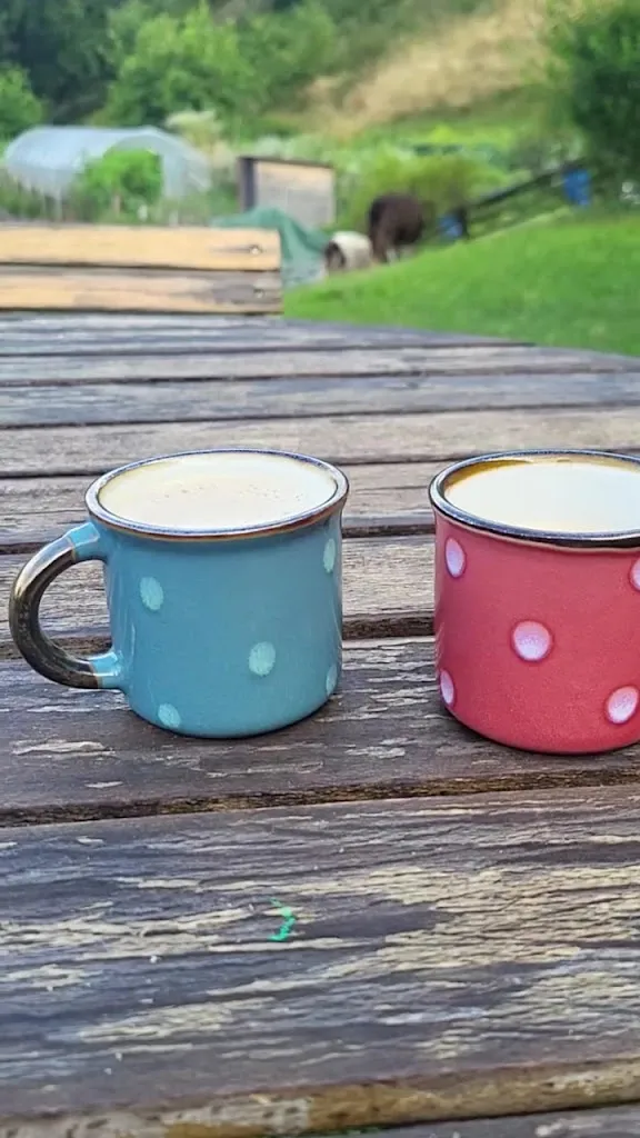 Anita Haidel_Agriturismo Le Radici_Blessagno_review