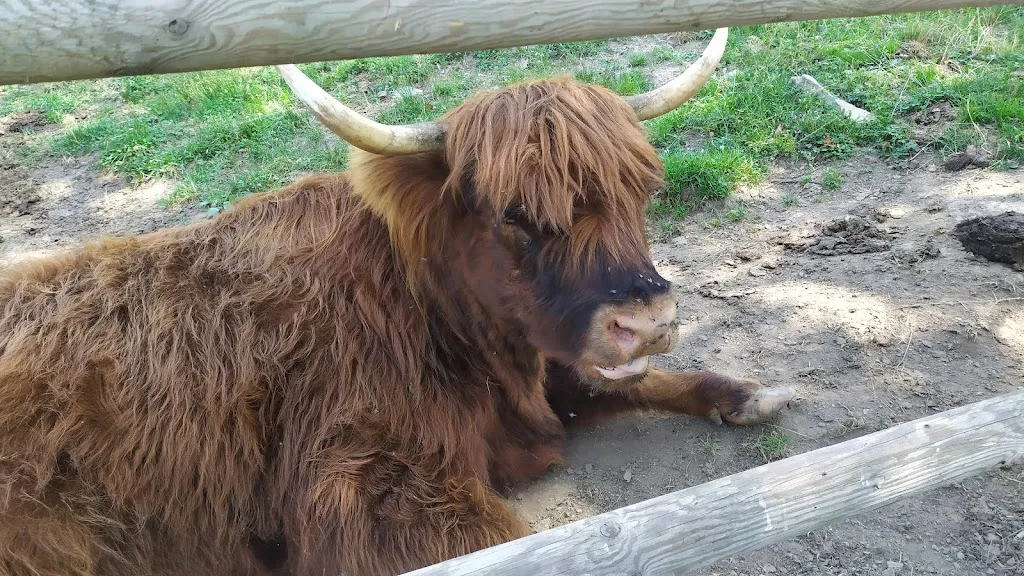 Agriturismo Baita Pianello_Blessagno_slider_image_2