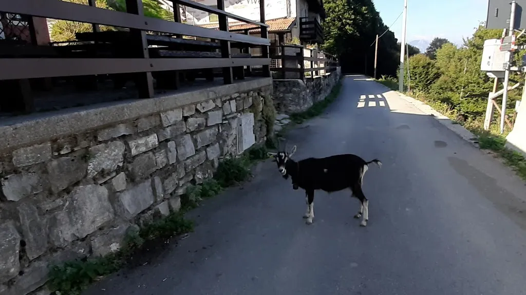 Baita Di Orimento Di Del Zoppo Loredana_Blessagno_slider_image_2