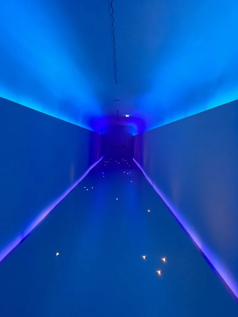 COMO LAKE Today_La Musa Restaurant & Rooftop Terrace_Blessagno_review