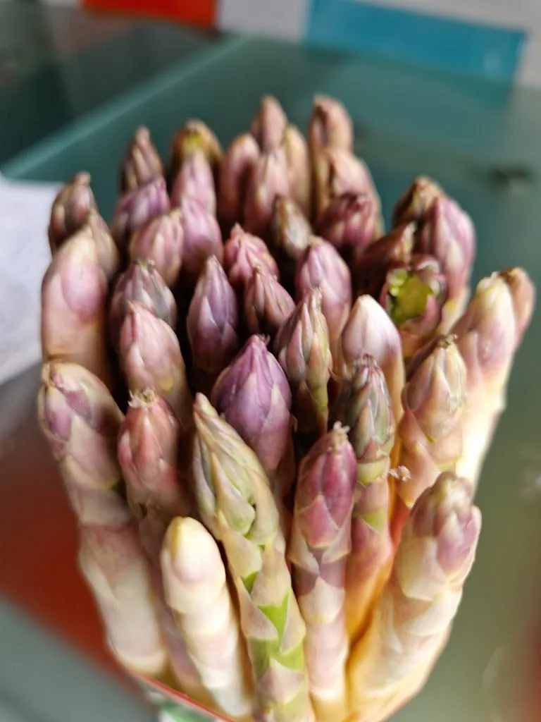 Menu_HR Home Restaurant_Bodio Lomnago_image_8