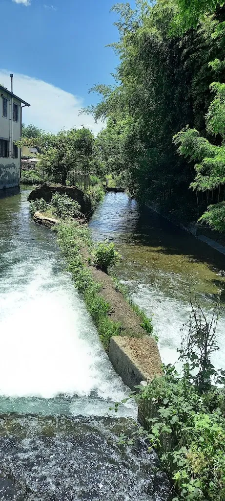 Tina Carrara_The King Boffalora_Boffalora Sopra Ticino_review