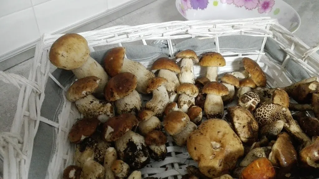 Menu_Denni's Pizza_Bolgare_image_9