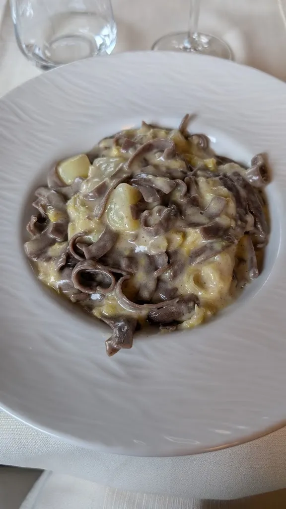 Francesca Morandi Berselli_Il Kapuziner Platz im Wald _Bolladello-Peveranza_review