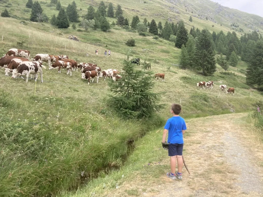 Ladislav Pecsuk_La Tchavana_Valtournenche_review