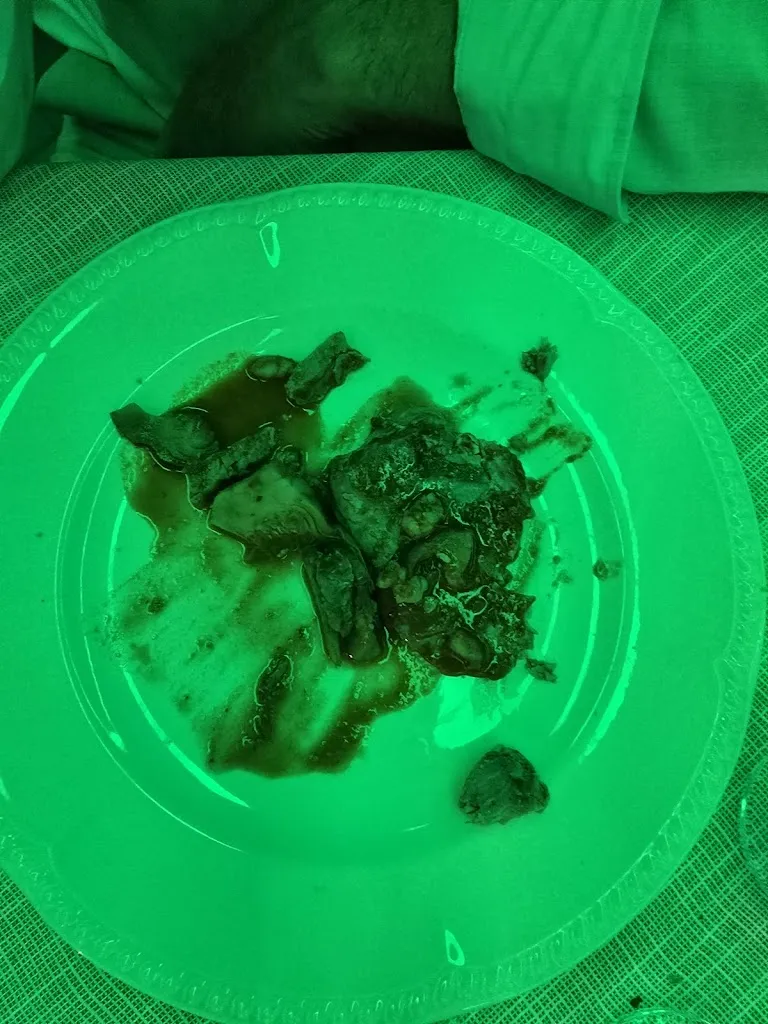 Salvatore71_Ristorante Pizzeria Santo Stefano 4_Bolladello-Peveranza_review