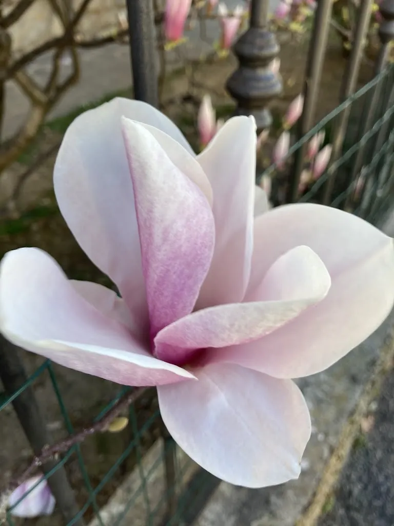 67cafè_Bonate Sopra_slider_image_3