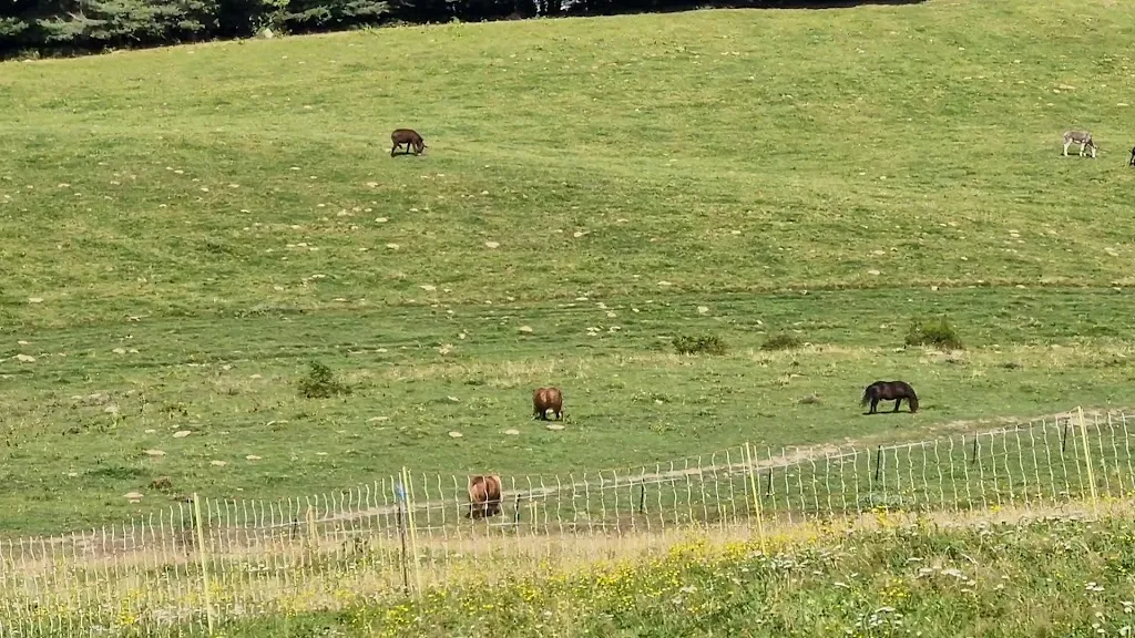 Malga Brigolina_Bondione_slider_image_2