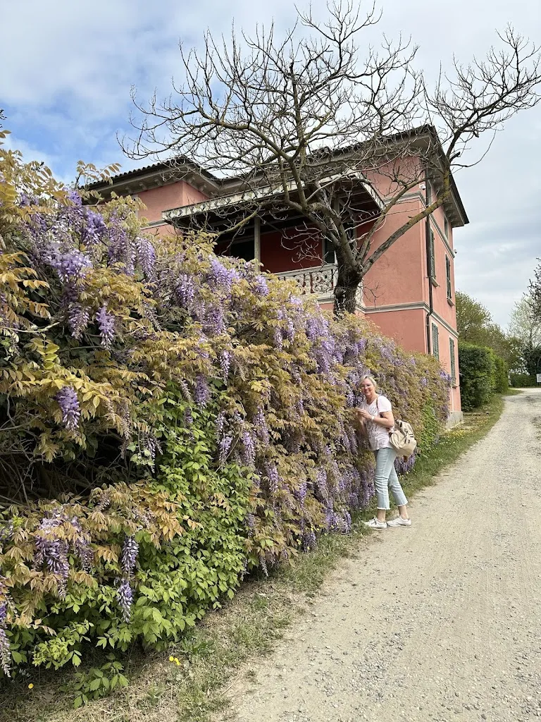 Gerald Bauer_Ristorante @ AGRITURISMO TORRAZZETTA - WINERY_Borgo Priolo_review