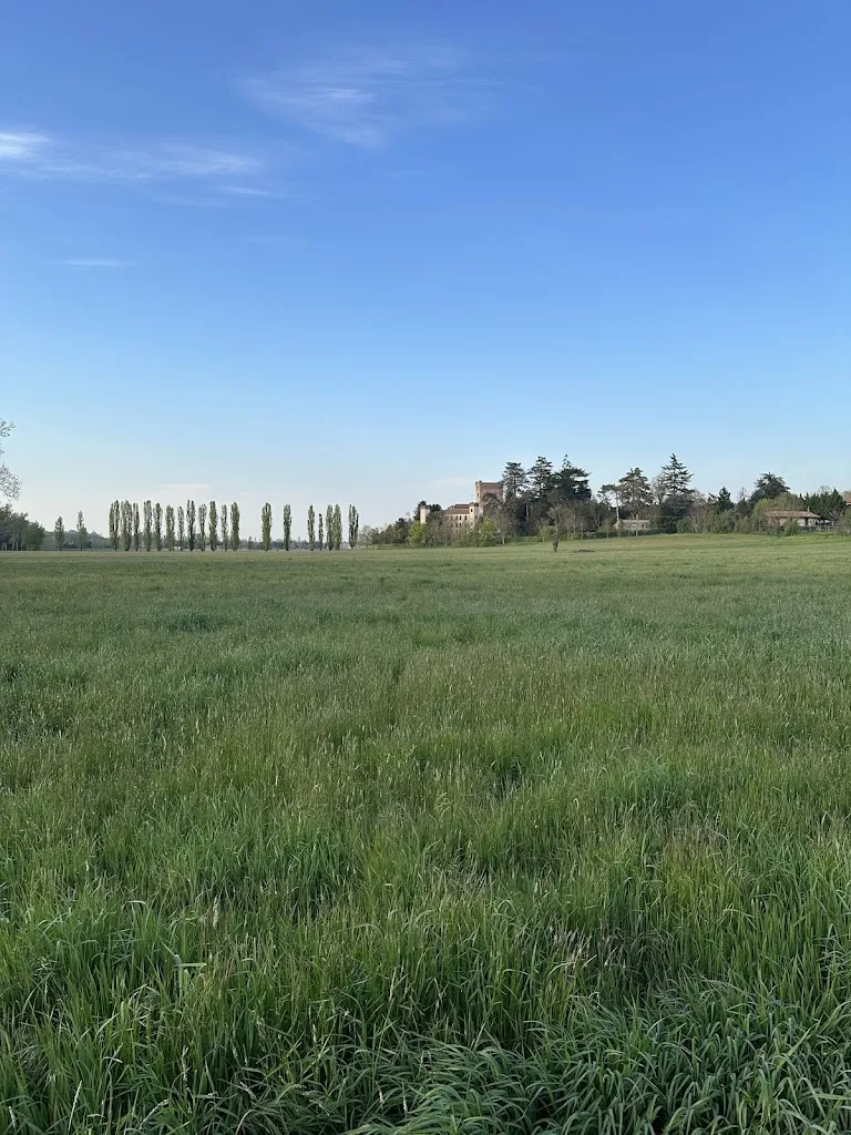 Ristorante @ AGRITURISMO TORRAZZETTA - WINERY_Borgo Priolo_slider_image_3