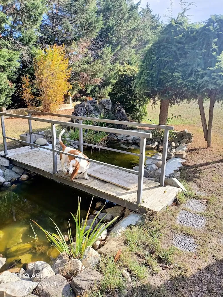 Tiziana Repetto_Agriturismo Riva del Borgo_Borgo Priolo_review