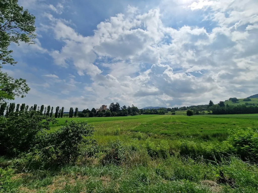 Mistastrida_Torrazzetta Natural Winery Agriturismo_Borgo Priolo_review