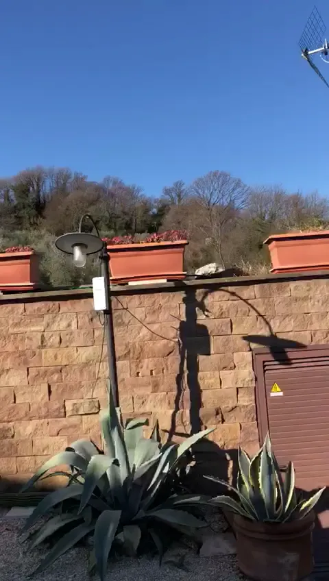 Trattoria Da Pasquì_Borgo San Giacomo_slider_image_2