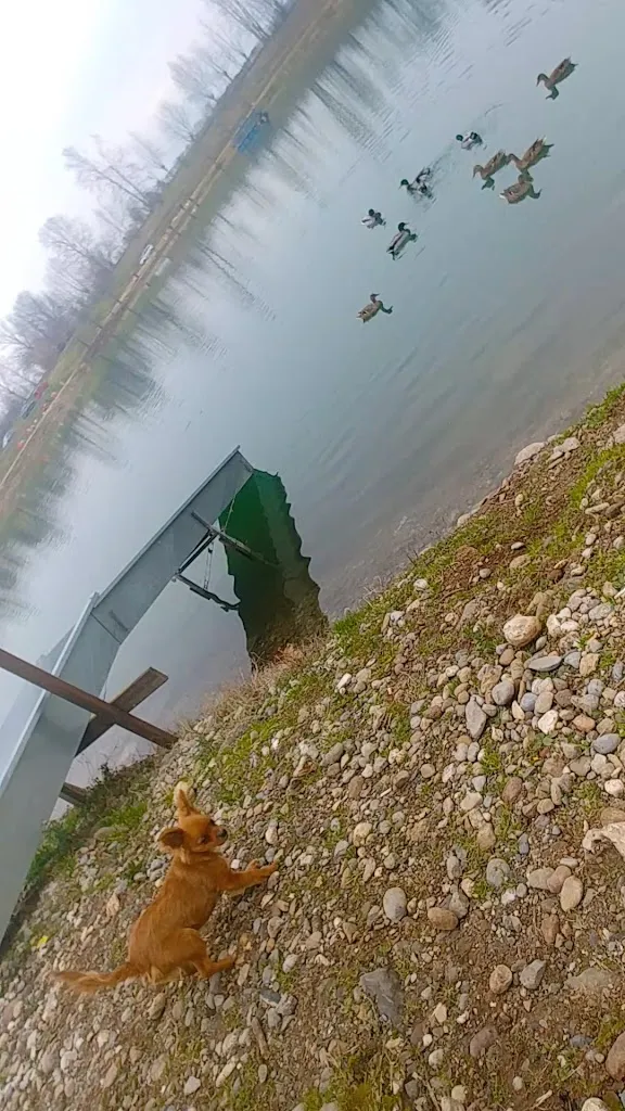 Lago Amici delle Gerole_Borgosatollo_slider_image_2