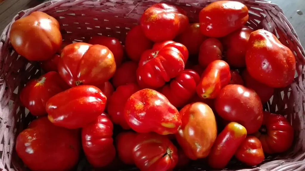 Menu_La Casupola Restaurant_Bosisio Parini_image_8