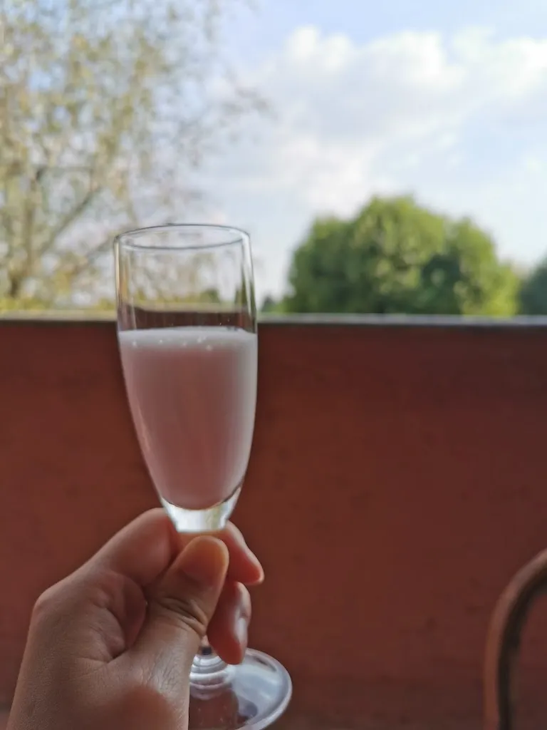 Amanda Miao_La Casupola Restaurant_Bosisio Parini_review