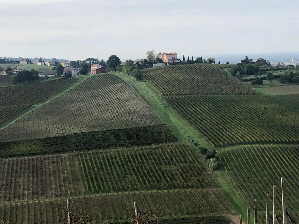 P C_Bricco Dei Ronchi_Bosnasco_Bewertung