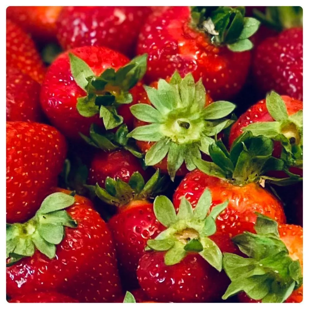 Menu_Bar Civico 39 da Mely_Bovegno_image_9