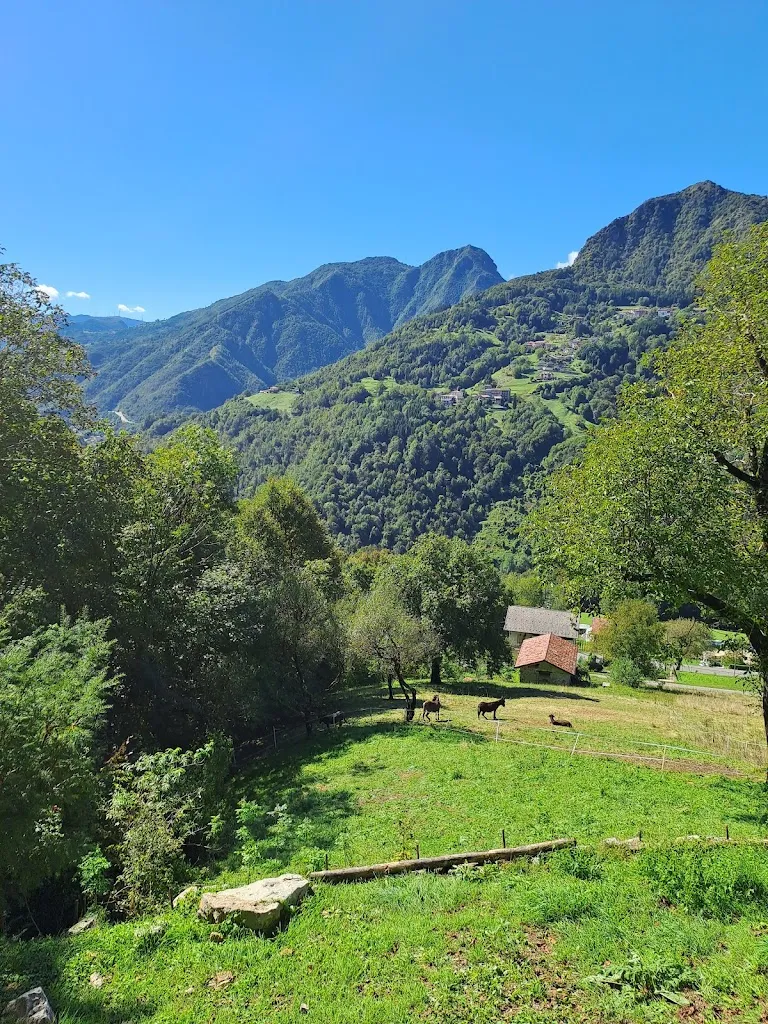 Federico Scaietti_AGRITURISMO CA' DI FRANCHI'_Bracca_review