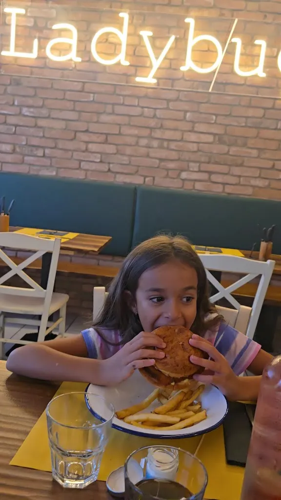 Ladybug Bar_Braone_slider_image_2