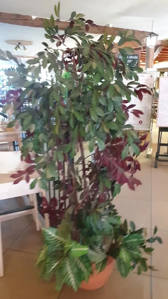 Hotel Girasole Bormio 2000_Bormio_slider_image_2