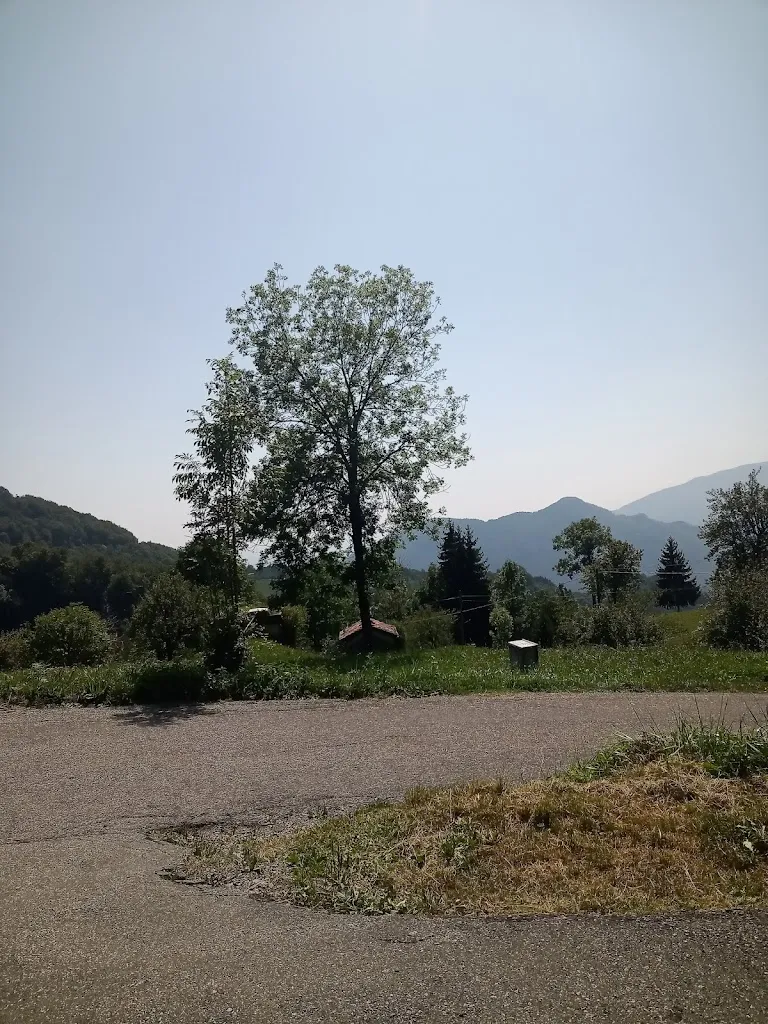 Manuel C_Trattoria Pesenti_Brembilla_review