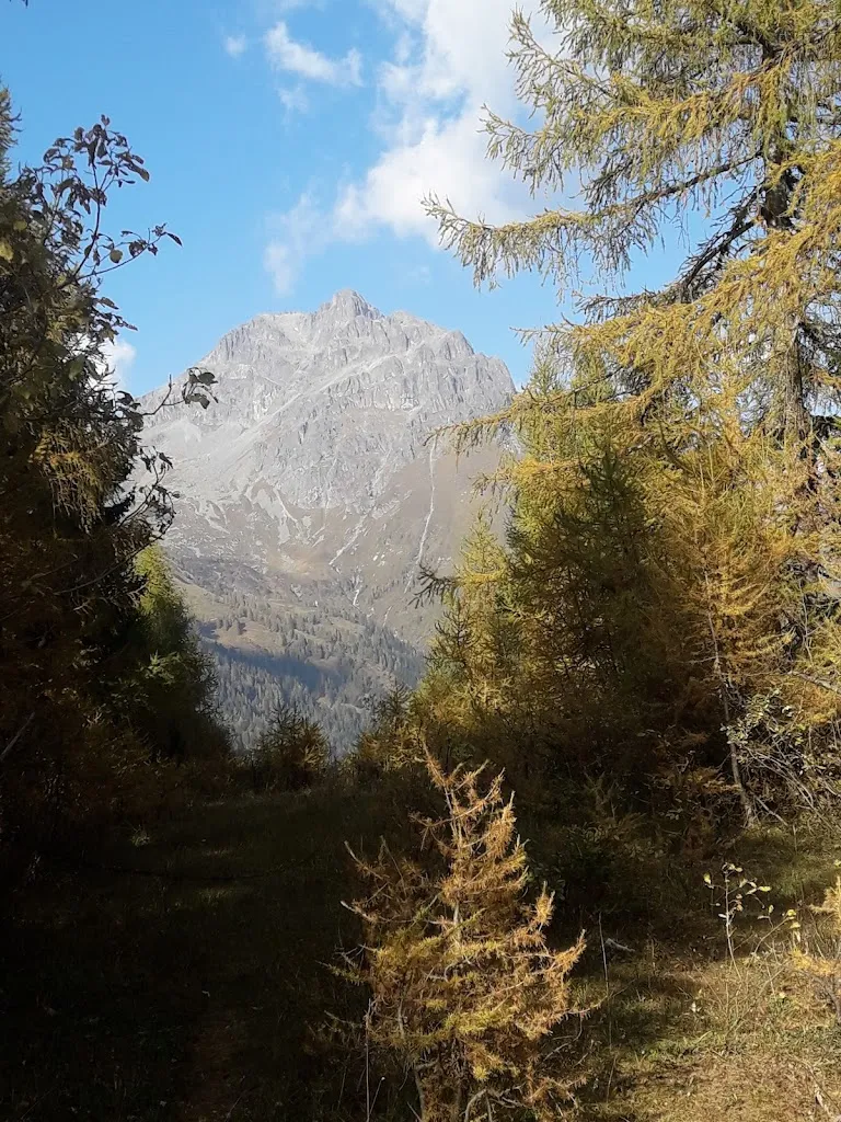 Laura_bag_Ristorante Monte Misa Cascinone_Breno_review