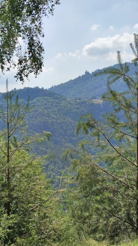 stella egitto_Ur Grupp dal 1874_Brinzio_review