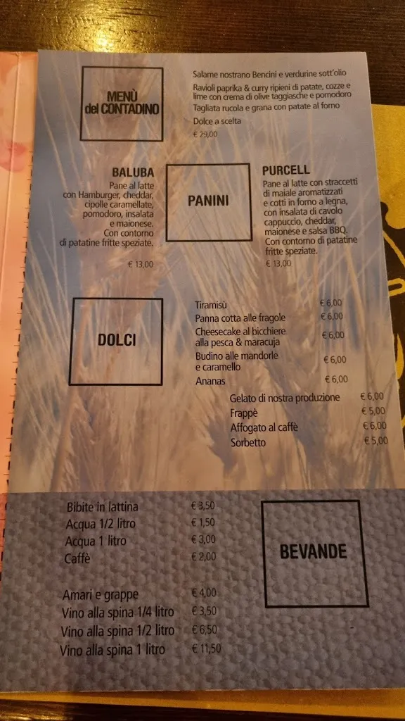 Menu_Il Dollaro_Briosco_immagine_3